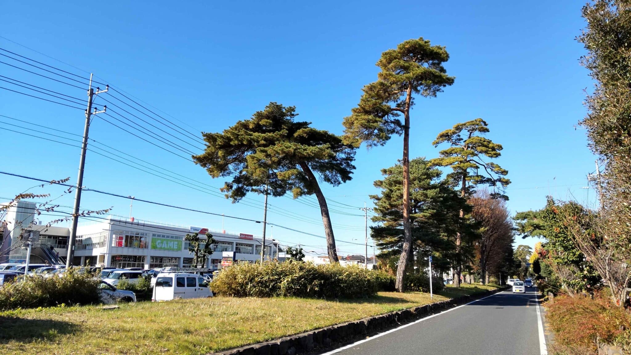 川越街道　街道を歩く　その3　歴史を訪ねる　シニアの健康ウォーキング　大和田宿（新座）→大井宿（新河岸）