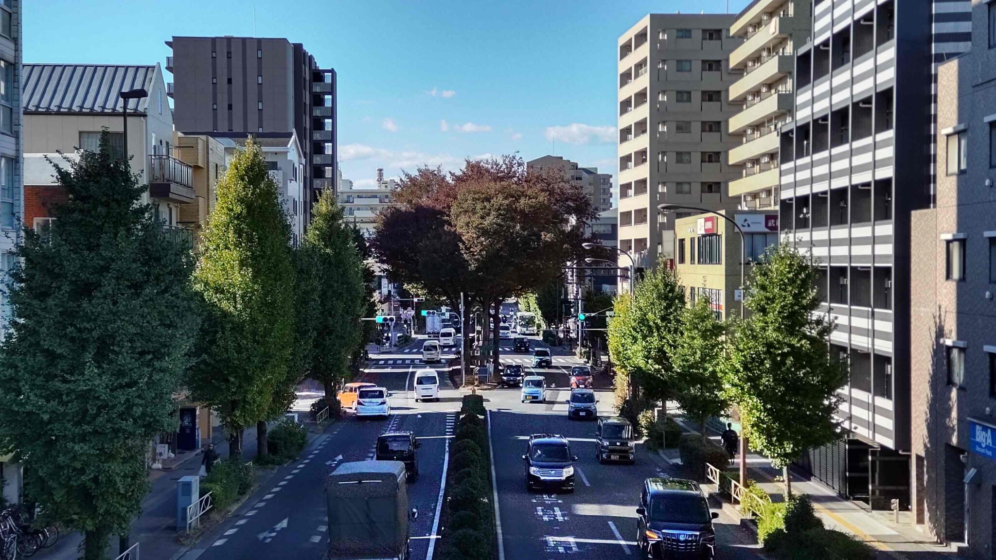 川越街道　街道を歩く　その1　歴史を訪ねる　シニアの健康ウォーキング　板橋宿→成増（下練馬宿）