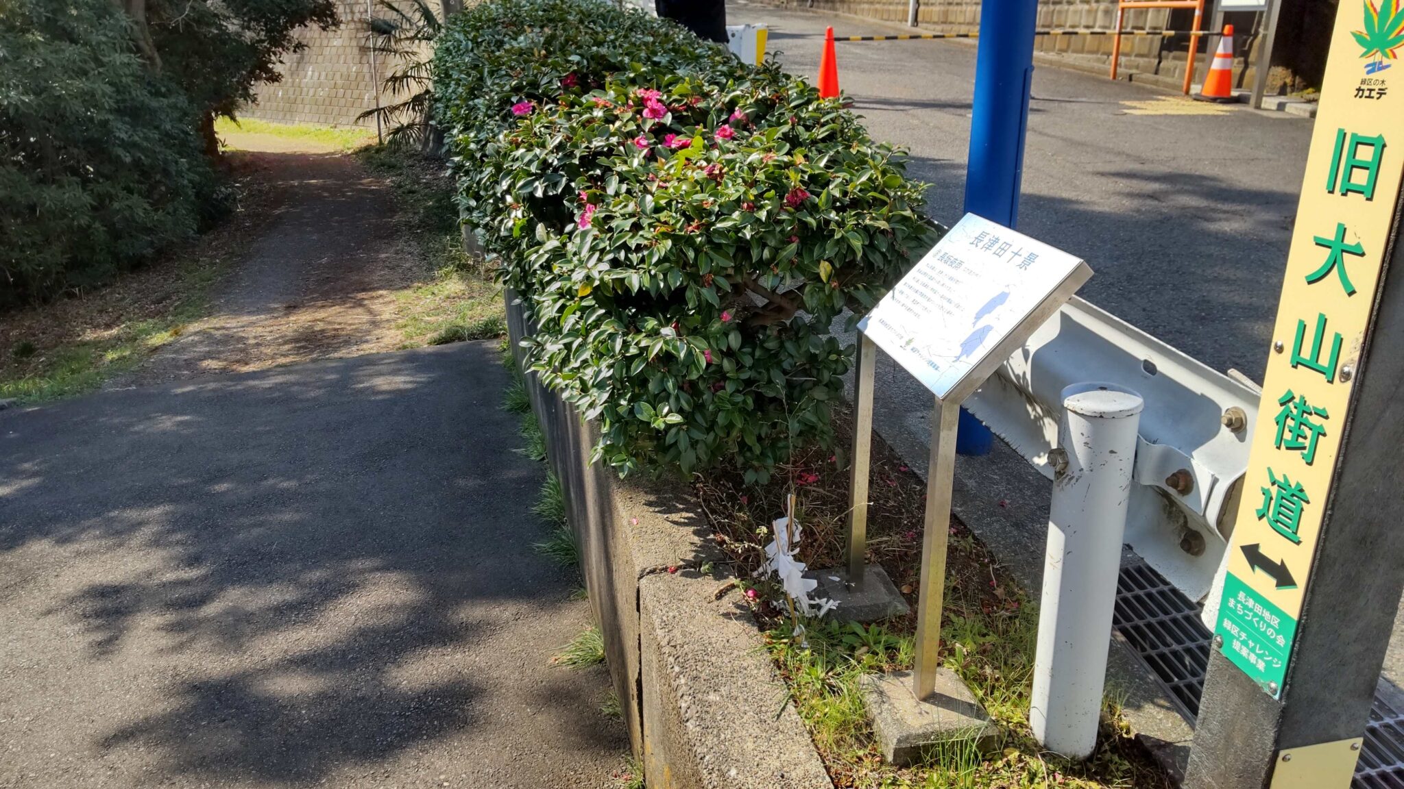 大山街道　街道を歩く　その5　歴史を訪ねる　シニアの健康ウォーキング　青葉台→すずかけ台