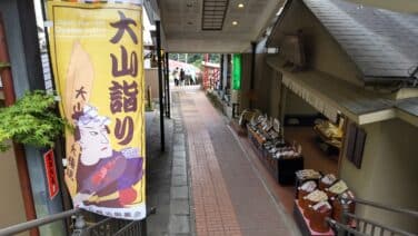 大山街道　街道を歩く　その9　歴史を訪ねる　シニアの健康ウォーキング　伊勢原→大山ケーブル駅