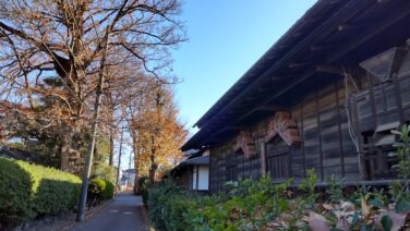 鎌倉街道　街道を歩く　その5　歴史を訪ねる　シニアの健康ウォーキング　町田→瀬谷